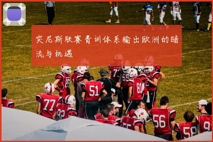突尼斯联赛青训体系输出欧洲的暗流与机遇