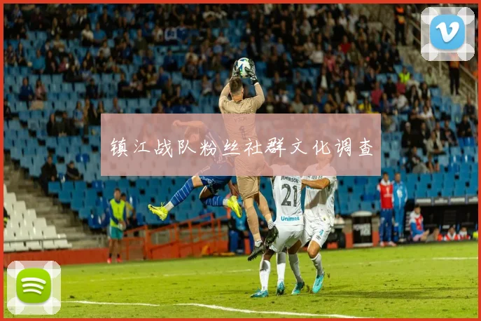镇江战队粉丝社群文化调查