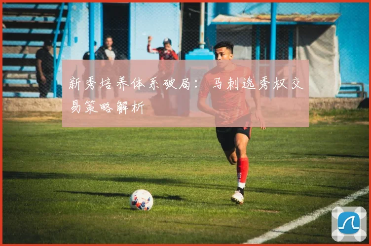 新秀培养体系破局：马刺选秀权交易策略解析