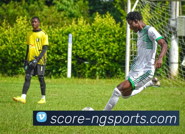 ng体育平台生态图